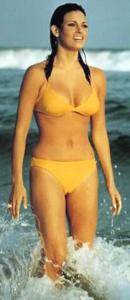 Raquel Welch